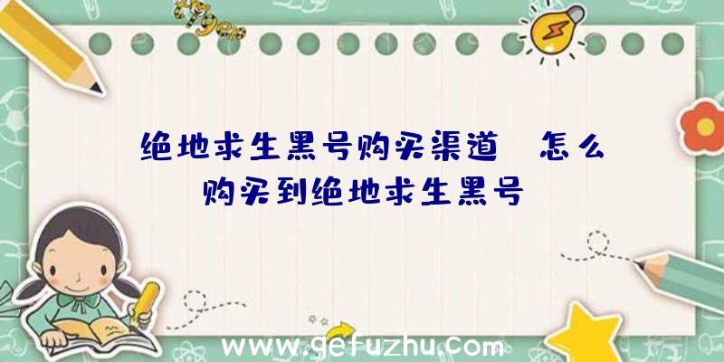 「绝地求生黑号购买渠道」|怎么购买到绝地求生黑号